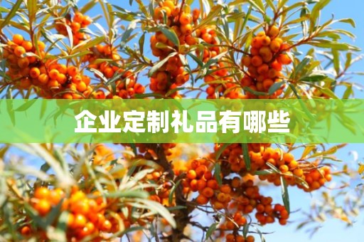 企业定制礼品有哪些