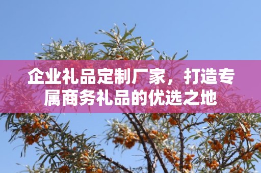 企业礼品定制厂家，打造专属商务礼品的优选之地
